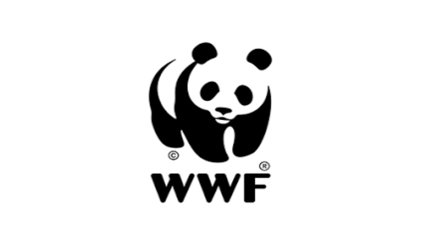 WFF